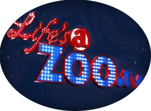 Life's a Zoo